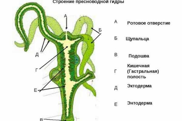 Омг омг площадка