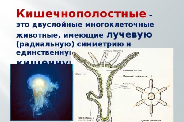 Ссылка омг омг в тор браузере